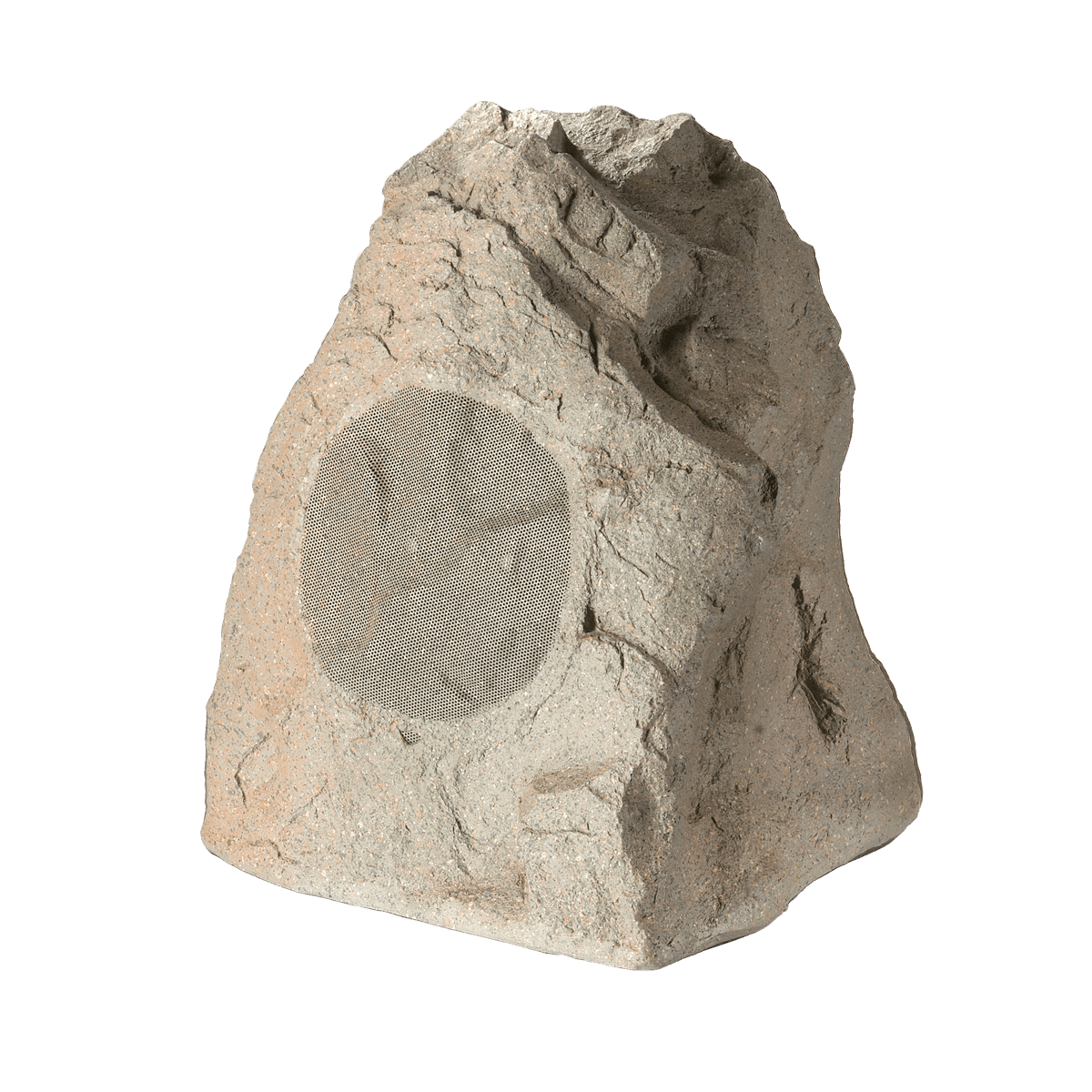 Rock Monitor 80 SM Speaker